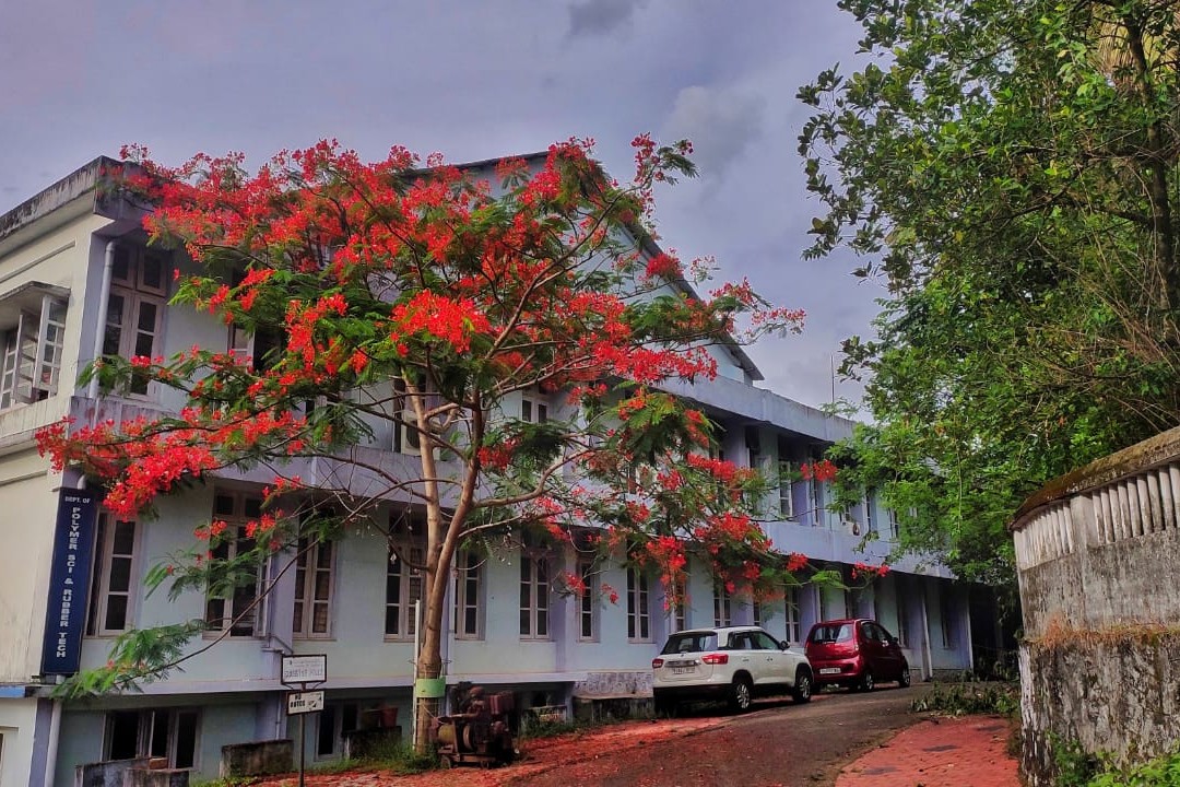 Department of Polymer Science and Rubber Technology