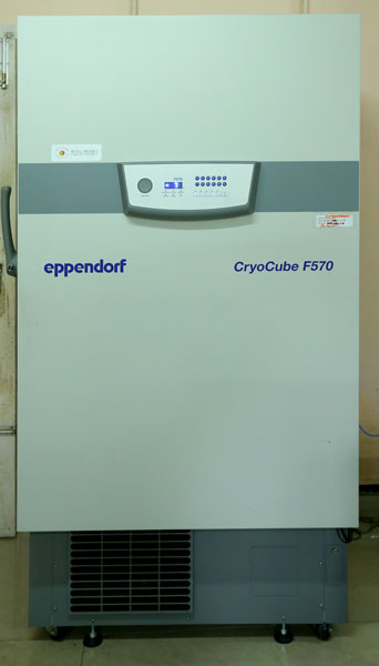 -80 Deep Freezer
