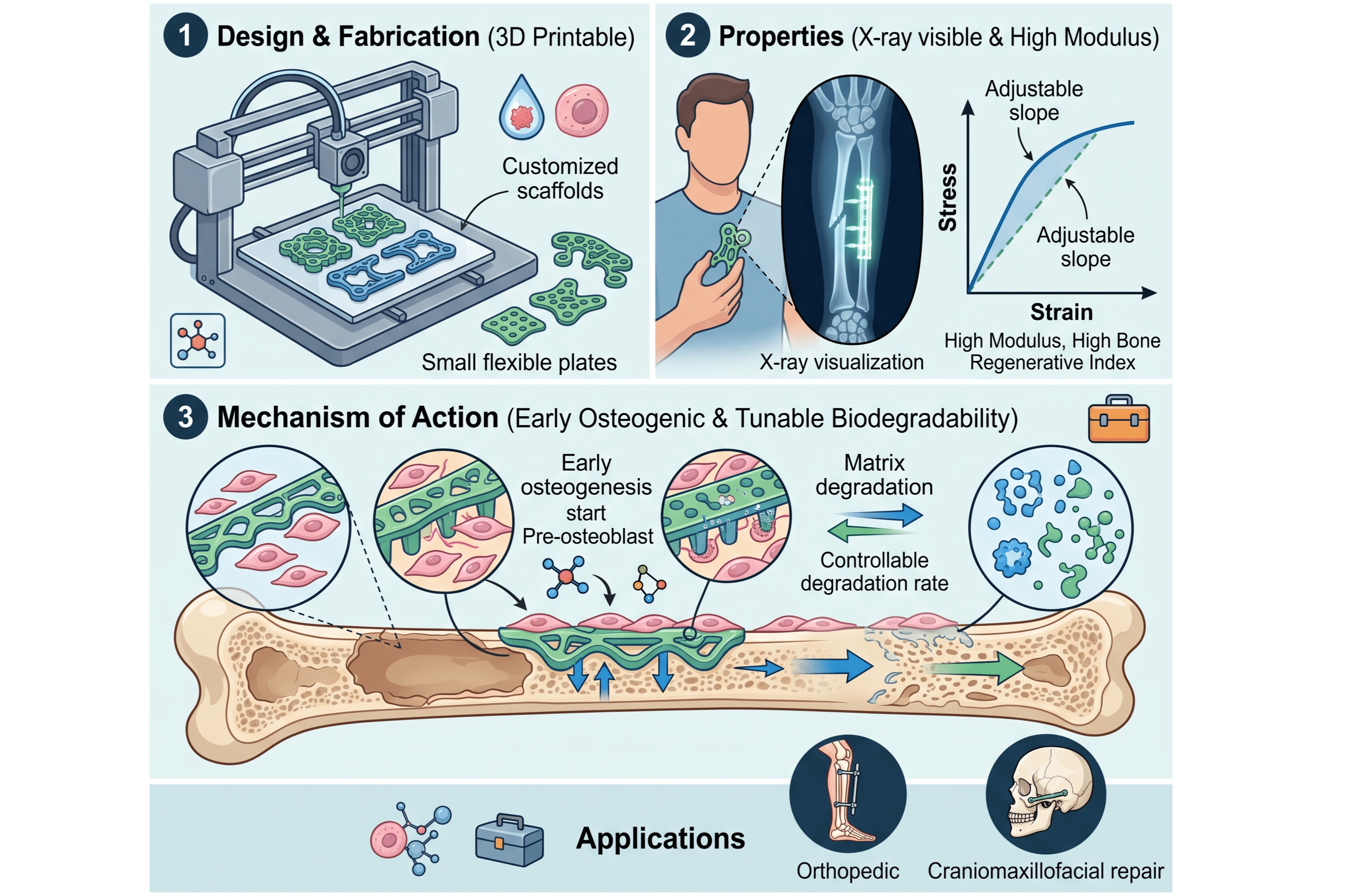 Early Osteogenic, X-ray visible, and 3D Printable Fixators for diabetic Orthopedic and Craniomaxillofacial repair with Tunable Biodegradability, Modulus and High Bone Regenerative Index