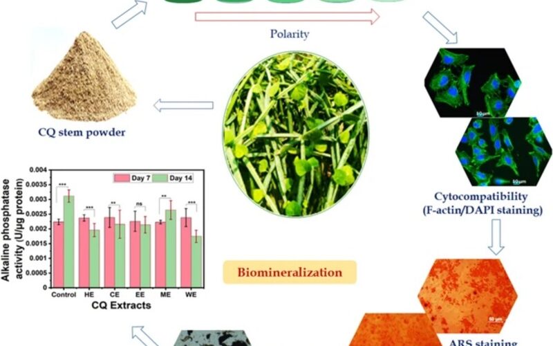 Biomaterials & Tissue Engineering