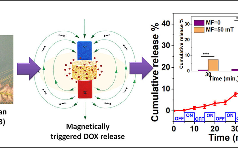 Nanomedicine & Theranostics