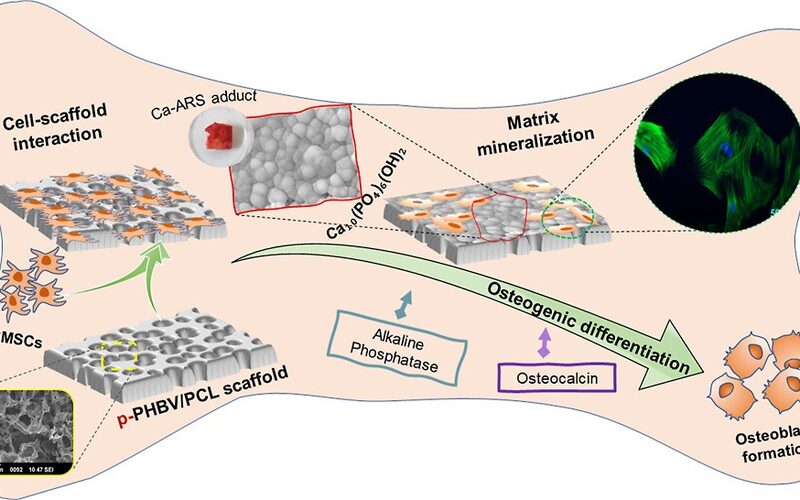 Radiopaque & Antimicrobial Materials
