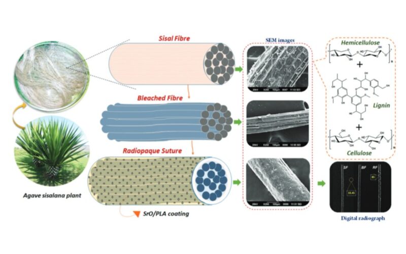 Regenerative scaffolds
